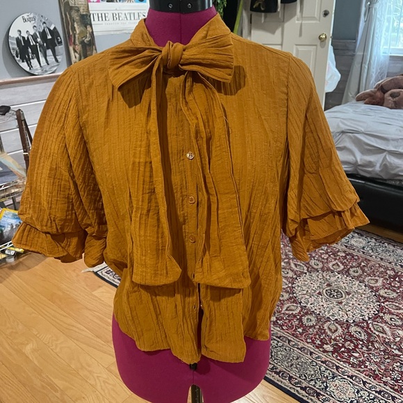 Zara tie blouse in burnt orange, size M. - Picture 1 of 4